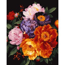 Set pictura pe numere, cu sasiu, Bujori 5 - canvas negru, 40x50 cm