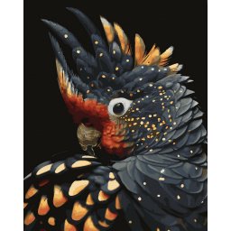 Set pictura pe numere, cu sasiu, Papagal aurit - canvas negru, 40x50 cm
