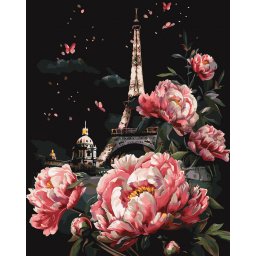 Set pictura pe numere, cu sasiu, Florile Parisului - canvas negru, 40x50 cm