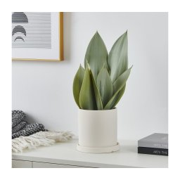 Plantă artificială în ghiveci Eglo 428387 TOBETSU 41,5x28,5 cm