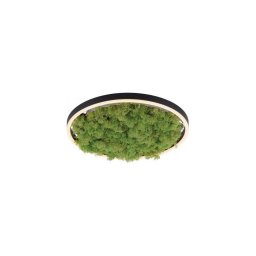 Plafonieră LED dimabilă JUST LIGHT. 15391-66 GREEN RITU LED/20W/230V