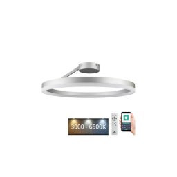 Lustră LED dimabilă aplicată LED/40W/230V 3000-6500K crom + telecomandă