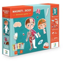 Joc magnetic - Descopera corpul uman