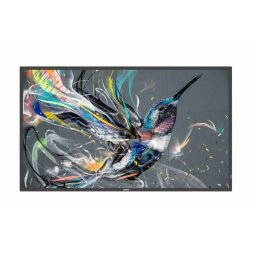 Display Profesional IPS LED Philips Q-Line Digital Signage 49.5" 50BDL3511Q, Ultra HD (3840 x 2160), DVI, HDMI, Boxe, Negru