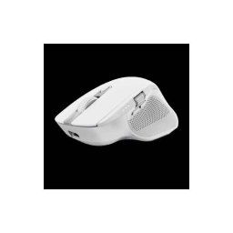 TRUST OZAA MULTI-CONNECT WIRELESS MOUSE WHT 24935timbru verde 08 lei)