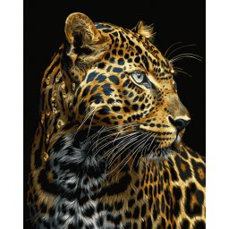 Set pictura pe numere, cu sasiu, Leopard auriu - canvas negru, 40x50 cm