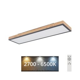 Plafonieră LED dimabilă Globo 416080WD4-CCT DORO LED/24W/230V + telecomandă