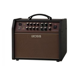 Boss ACS Acoustic Singer Live LT