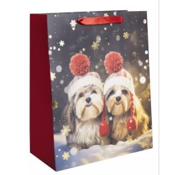 Pungă cadou - 26 x 32 cm