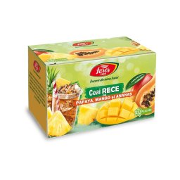 Ceai Rece cu Papaya, Mango si Ananas – 12dz Fares