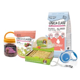 Set pentru caine junior de talie medie