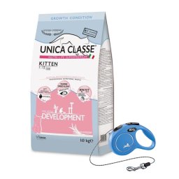 Set pentru pisica junior