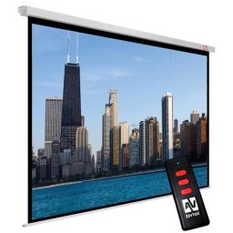 Ecran electric Avtek Business Electric 300P (300 x 227,5 cm) - 16:10