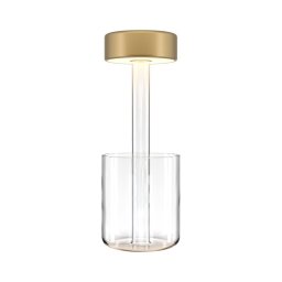Maytoni MOD229TL-L3G3K1 - Lampă LED portabilă reglabilă 3W/5V aurie/clară