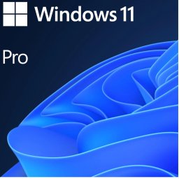 Microsoft Windows 11 Pro, 64 bit, Romana, OEM, DVD