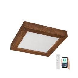 Plafonieră LED dimabilă Brilagi WOODY FRAME LED/24W/230V stejar 30x30 cm IP44 + telecomandă