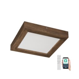Plafonieră LED dimabilă Brilagi WOODY FRAME LED/24W/230V stejar 30x30 cm IP44 + telecomandă