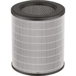 Filtru aer pentru ROWENTA Pure Air City XD6280F0