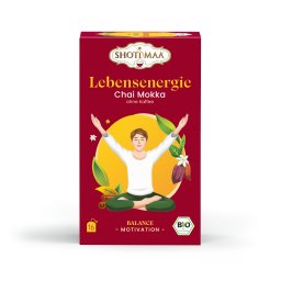 Ceai balance - lebensenergie - chai moka ( fara cafea ) bio 16dz x 2g 32g Shotimaa