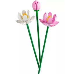 LEGO®: Flori de lotus 40647