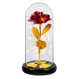 Trandafirul A n Cupola de Sticla , Cadoul Perfect de Valentine, s Day