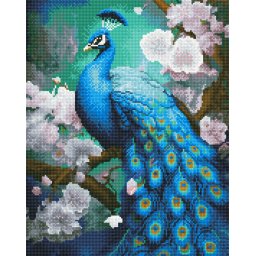 Set goblen cu diamante , cu sasiu, Paun in flori, 40x50 cm
