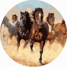 Set pictura pe numere rotunda, cu sasiu, Galop, O40cm