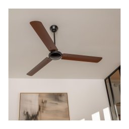 ZEVENTI - Ventilator de tavan TOFINO maro