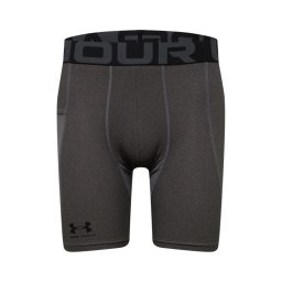 UNDER ARMOUR Pantaloni sport gri închis / negru