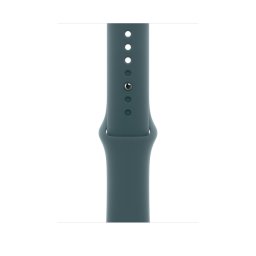 Apple Watch 42mm Sport Band: Lake Green Sport Band - M/L (Seasonal)