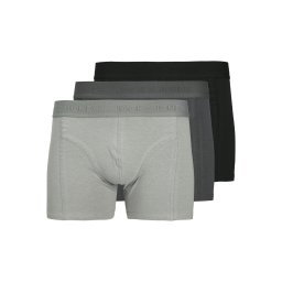 JACK & JONES Boxeri 'JACOrdinary' gri deschis / gri închis / negru