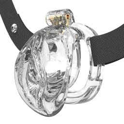 Rimba P-Cage PC10 Penis Cage Pussy Transparent