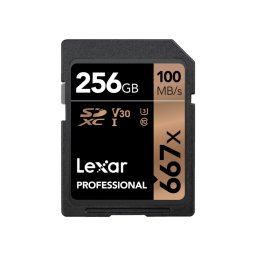 256gb sdxc cls10 uhs-i 100mb/s citire, 90mb/s scriere