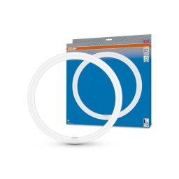Tub LED fluorescent Osram G10q/24W/230V 6500K