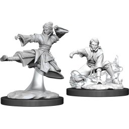 Model Dungeons & Dragons Nolzur's Marvelous Unpainted Miniatures - Human Monk
