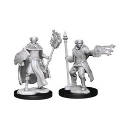 Model Dungeons & Dragons Nolzur's Marvelous Unpainted Miniatures - Multiclass Cleric + Wizard Male