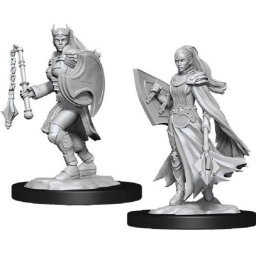 Model Dungeons & Dragons Nolzur's Marvelous Unpainted Miniatures - Kalashtar Cleric Female