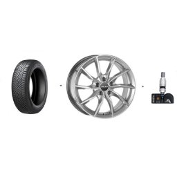 Set Roti All Season R18 Tesla Model 3