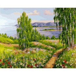 Set pictura pe numere, cu sasiu, Camp cu flori salbatice, 40x50 cm