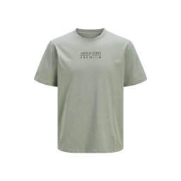JACK & JONES T-Shirt Jprbluatlas Ss Tee 12275372 16-5808 TCX iceberg green