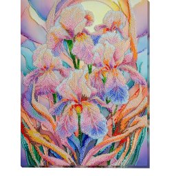 Set broderie cu margele cusute, Irisi, 24x31,5 cm