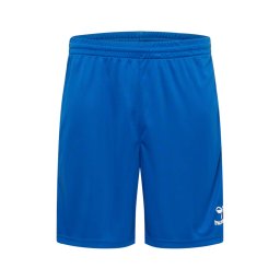 Hummel Pantaloni sport 'AUTHENTIC' albastru cobalt / negru / alb