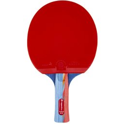 Paleta tenis de masa inSPORTline Shootfair S5