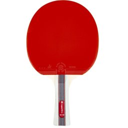 Paleta tenis de masa inSPORTline Shootfair S3