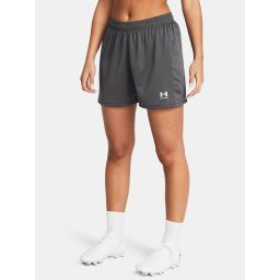 Women's shorts Under Armour UA W's Ch. Knit Short-GRY - Women's