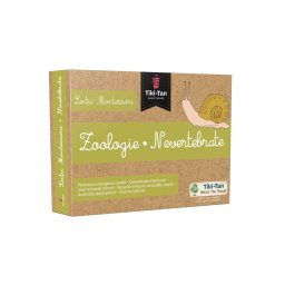 Lectii Montessori - Zoologie • Nevertebrate