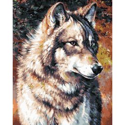 Set pictura pe numere, cu sasiu, Lup singuratic, 40x50 cm