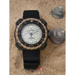 Citizen Promaster Titanium BN0226-10P Eco-Drive BN0226-10P
