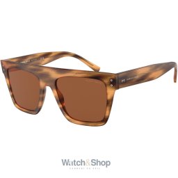 Armani AR8177-592173 AR8177-592173