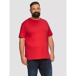 Tricou bărbați big size cu decolteu la baza gâtului și logo, din bumbac, Rosu (SELECTATI MARIMEA: 2XL)